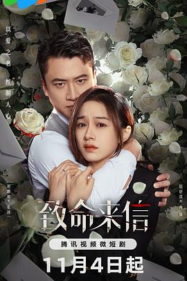 seo优化推选湖南岚鸿信息科技